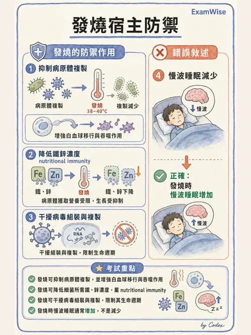 麻醉專護 - 感染症、發燒與抗生素 - AI 圖文解析預覽