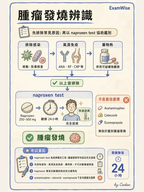 麻醉專護 - 感染症、發燒與抗生素 - AI 圖文解析預覽
