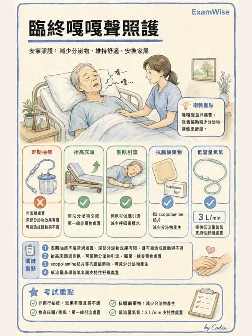 麻醉專護 - 止痛藥物與安寧緩和照護基礎 - AI 圖文解析預覽