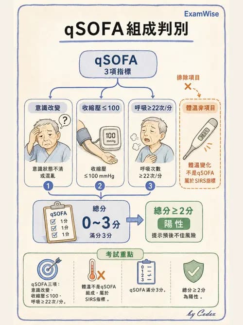 麻醉專護 - 心律不整判讀、ACLS與休克辨識 - AI 圖文解析預覽