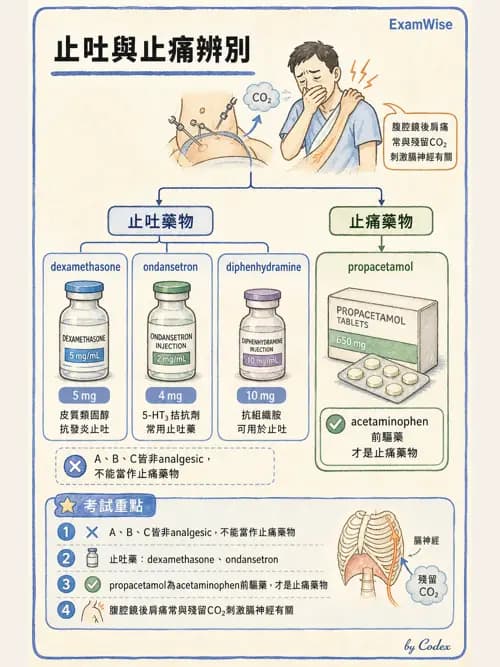 麻醉專護 - PACU照護、PONV與術後寒顫 - AI 圖文解析預覽