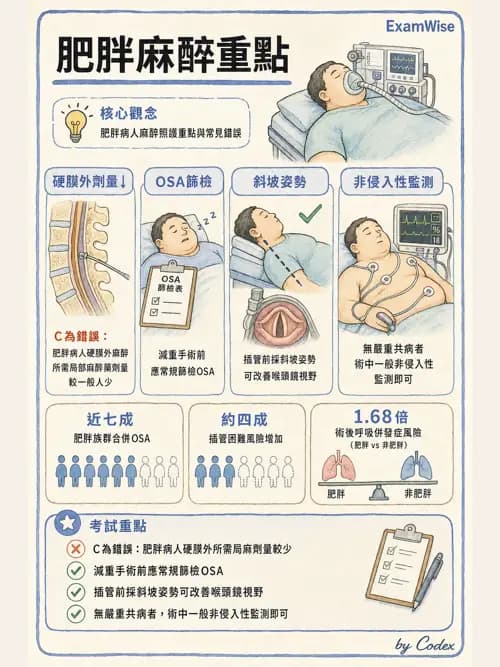麻醉專護 - 肥胖與減重手術麻醉 - AI 圖文解析預覽