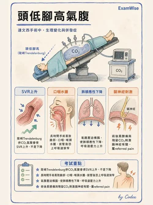 麻醉專護 - 泌尿/婦科/機器人腹腔鏡手術麻醉 - AI 圖文解析預覽