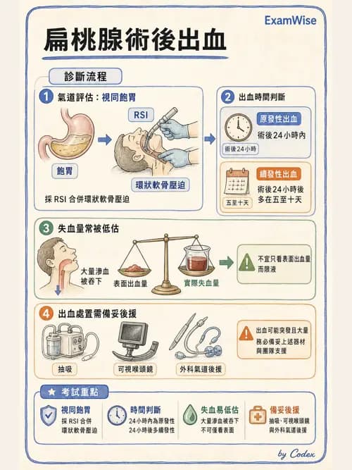 麻醉專護 - 頭頸/耳鼻喉/眼科手術麻醉 - AI 圖文解析預覽