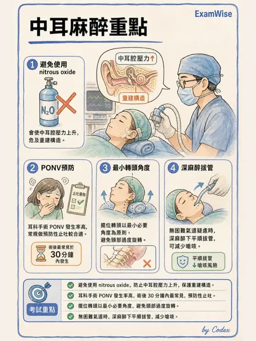 麻醉專護 - 頭頸/耳鼻喉/眼科手術麻醉 - AI 圖文解析預覽