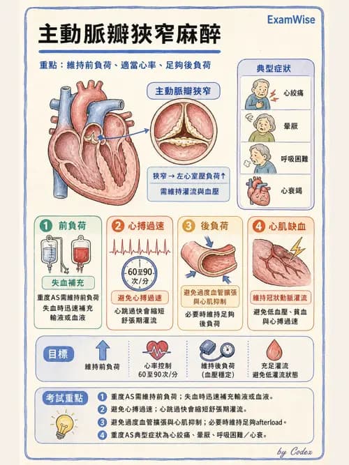 麻醉專護 - 心臟手術與體外循環麻醉 - AI 圖文解析預覽