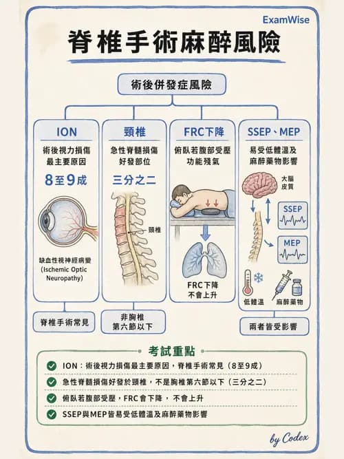 麻醉專護 - 神經外科與脊椎手術麻醉 - AI 圖文解析預覽