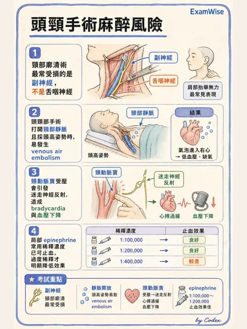 麻醉專護 - 頭頸/耳鼻喉/眼科手術麻醉 - AI 圖文解析預覽