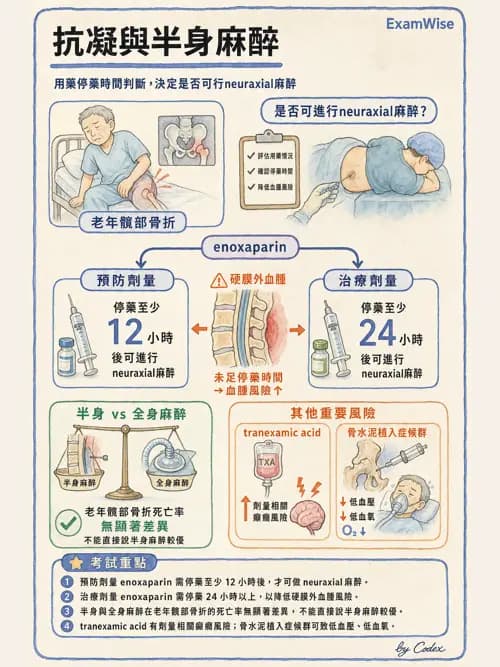 麻醉專護 - 骨科手術麻醉 - AI 圖文解析預覽