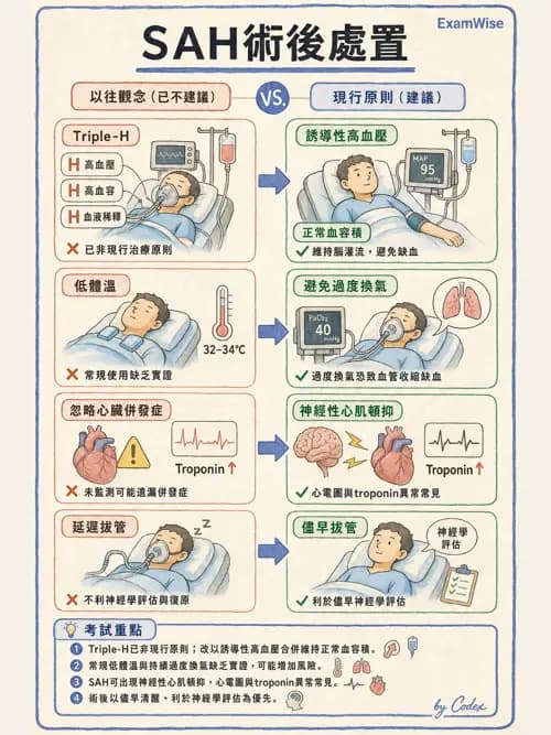 麻醉專護 - 神經外科與脊椎手術麻醉 - AI 圖文解析預覽