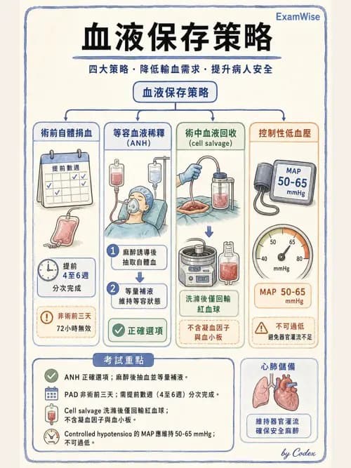 麻醉專護 - 頭頸/耳鼻喉/眼科手術麻醉 - AI 圖文解析預覽
