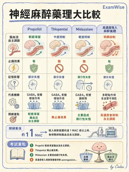 麻醉專護 - 神經外科與脊椎手術麻醉 - AI 圖文解析預覽