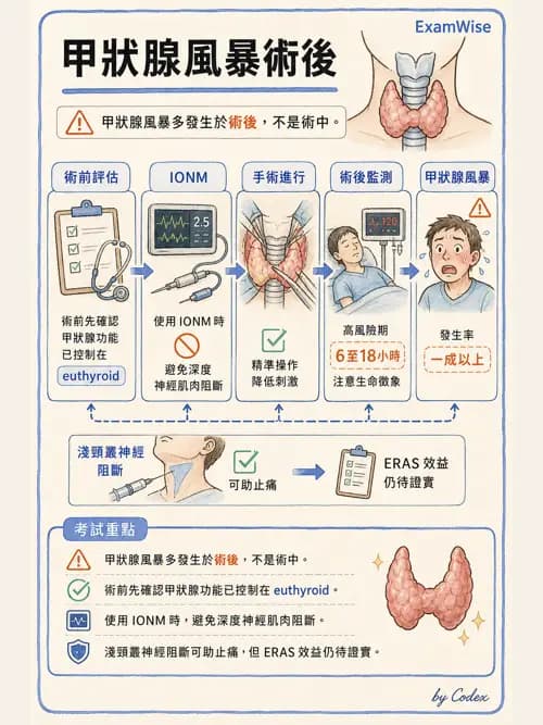 麻醉專護 - 頭頸/耳鼻喉/眼科手術麻醉 - AI 圖文解析預覽