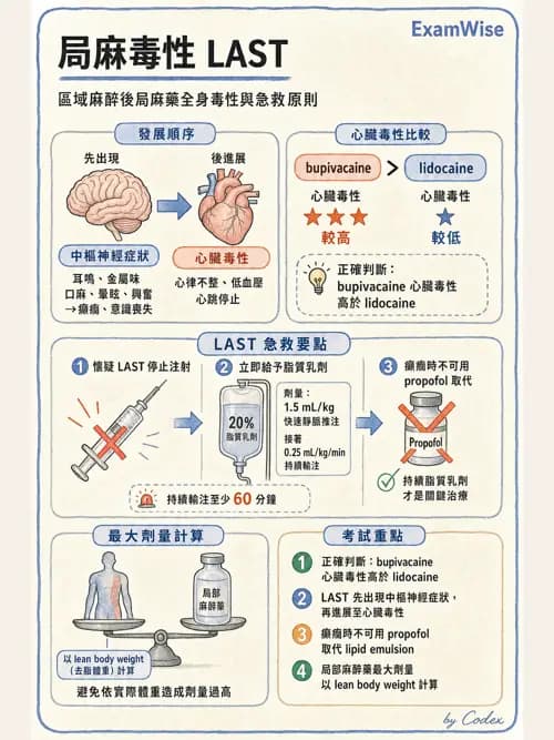 LAST - 局部麻醉藥與全身毒性反應 - AI 圖文解析預覽