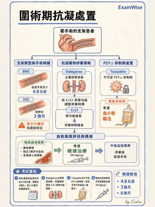 麻醉專護 - 術前評估與風險管理 - AI 圖文解析預覽