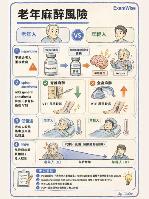 麻醉專護 - 老年麻醉 - AI 圖文解析預覽