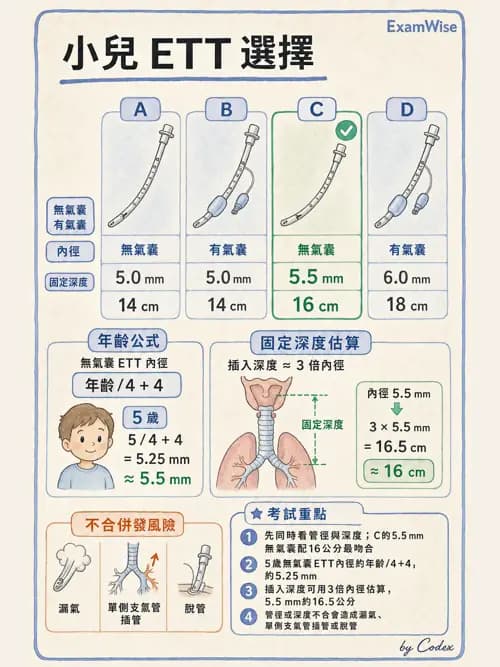 麻醉專護 - 小兒麻醉 - AI 圖文解析預覽