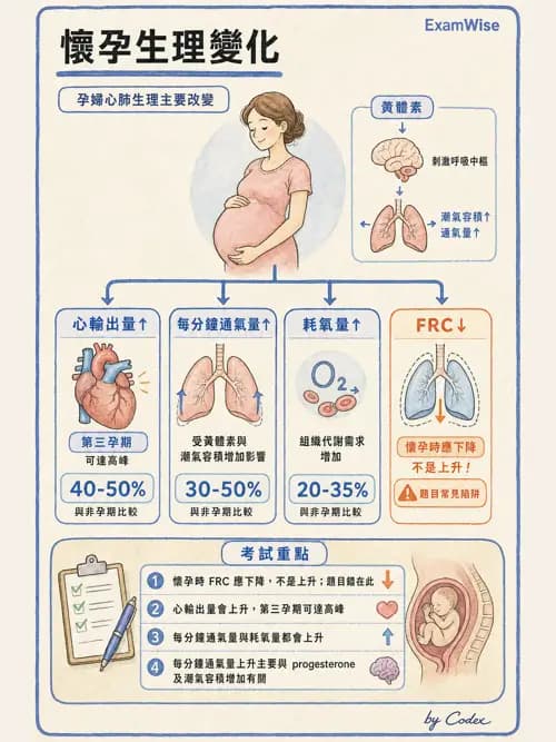麻醉專護 - 產科麻醉 - AI 圖文解析預覽