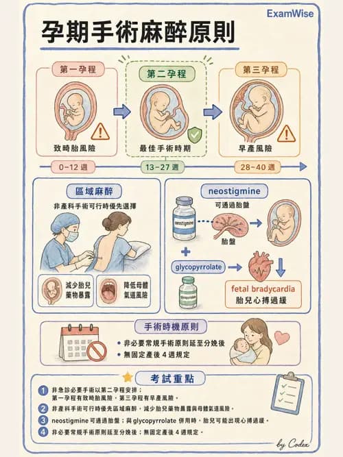 麻醉專護 - 產科麻醉 - AI 圖文解析預覽