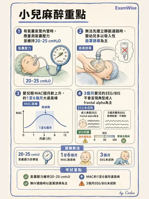 麻醉專護 - 小兒麻醉 - AI 圖文解析預覽