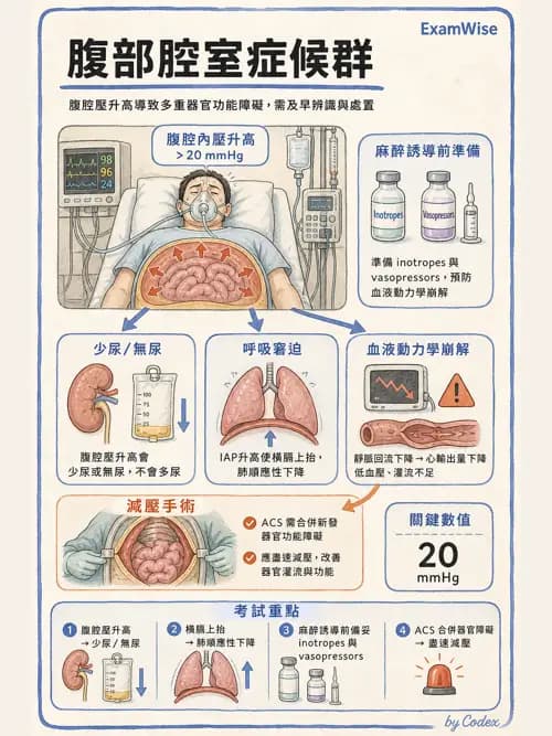 麻醉專護 - 創傷、燒傷與重症麻醉 - AI 圖文解析預覽