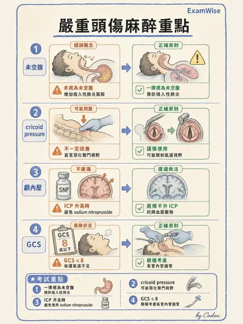 麻醉專護 - 創傷、燒傷與重症麻醉 - AI 圖文解析預覽