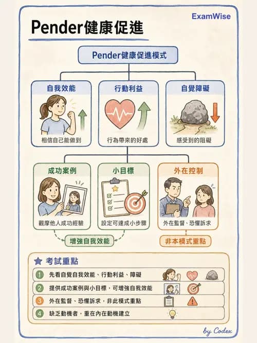 麻醉專護 - 健康促進、篩檢與長期照顧 - AI 圖文解析預覽
