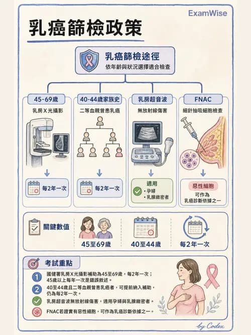 麻醉專護 - 健康促進、篩檢與長期照顧 - AI 圖文解析預覽