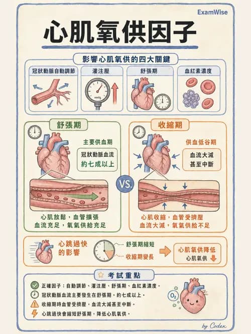 麻醉專護 - 心血管疾病術前評估 - AI 圖文解析預覽
