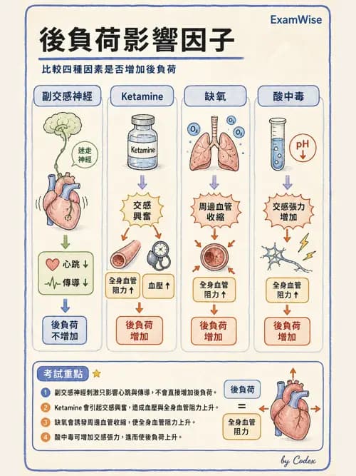 麻醉專護 - 心血管疾病術前評估 - AI 圖文解析預覽