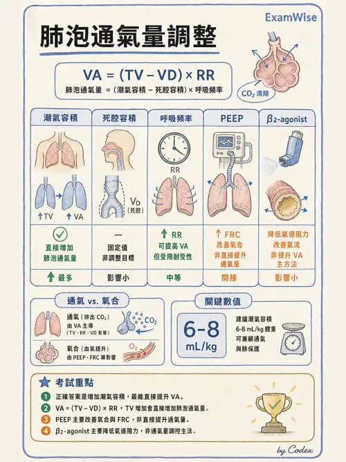 麻醉專護 - 呼吸系統疾病術前評估 - AI 圖文解析預覽