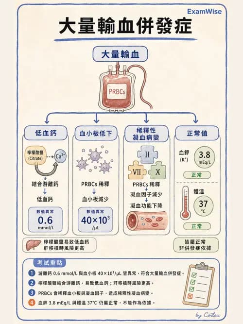 麻醉專護 - 疼痛處置與輸液輸血治療 - AI 圖文解析預覽