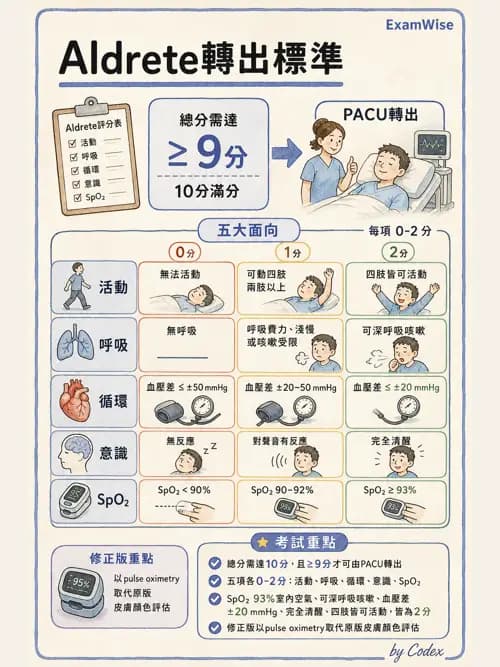麻醉專護 - 麻醉恢復室照護與術後併發症 - AI 圖文解析預覽