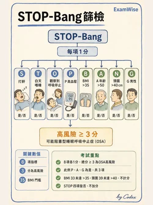 麻醉專護 - 呼吸系統疾病術前評估 - AI 圖文解析預覽