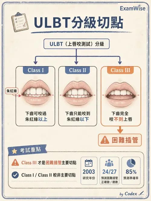 麻醉專護 - 呼吸道評估與處置 - AI 圖文解析預覽