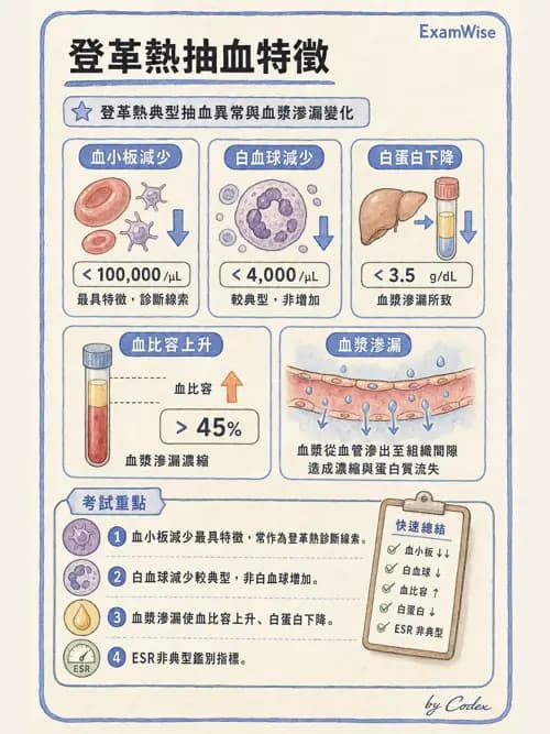 麻醉專護 - 感染症、發燒與抗生素 - AI 圖文解析預覽