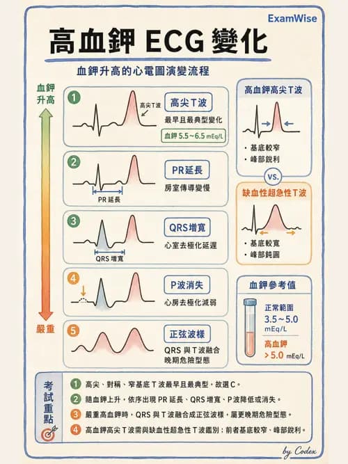 麻醉專護 - 電解質、酸鹼平衡與體液評估 - AI 圖文解析預覽
