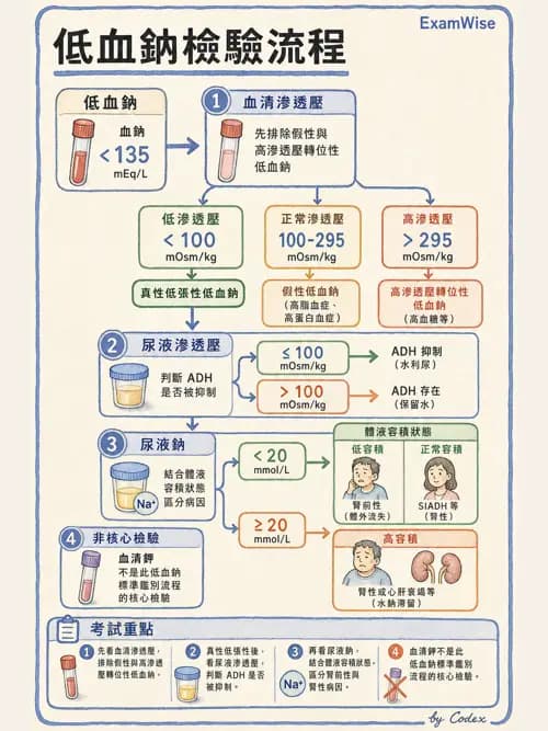 麻醉專護 - 電解質、酸鹼平衡與體液評估 - AI 圖文解析預覽