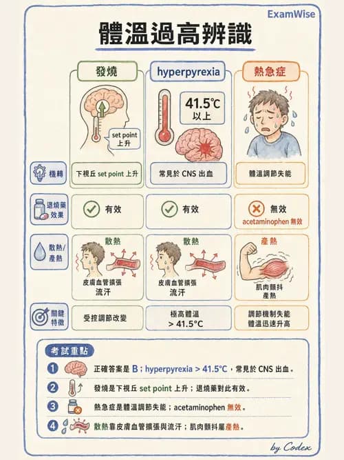 麻醉專護 - 感染症、發燒與抗生素 - AI 圖文解析預覽