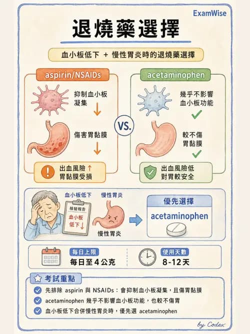 麻醉專護 - 止痛藥物與安寧緩和照護基礎 - AI 圖文解析預覽