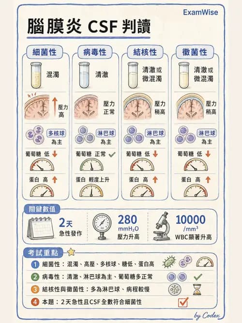 麻醉專護 - 感染症、發燒與抗生素 - AI 圖文解析預覽