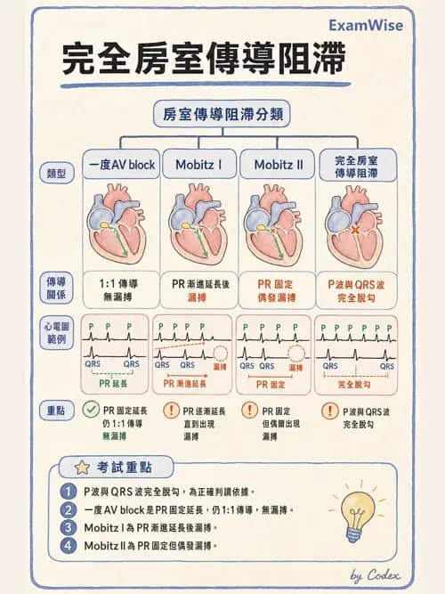 麻醉專護 - 心律不整判讀、ACLS與休克辨識 - AI 圖文解析預覽