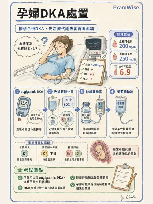 麻醉專護 - 電解質、酸鹼平衡與體液評估 - AI 圖文解析預覽