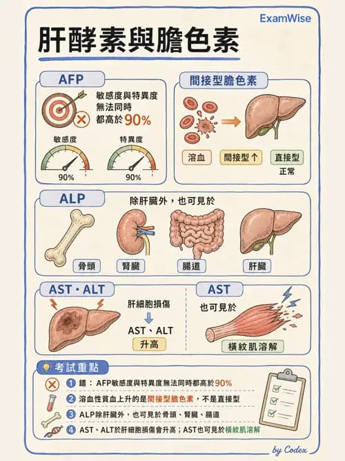 麻醉專護 - 內科疾病鑑別診斷 - AI 圖文解析預覽