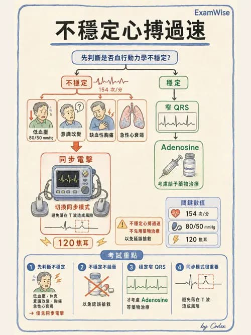 麻醉專護 - 心律不整判讀、ACLS與休克辨識 - AI 圖文解析預覽