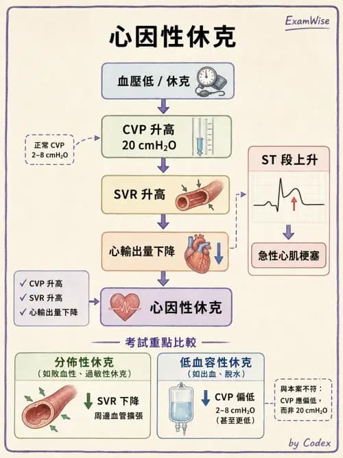 麻醉專護 - 心律不整判讀、ACLS與休克辨識 - AI 圖文解析預覽