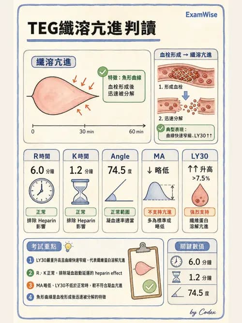 麻醉專護 - 生理監測技術 - AI 圖文解析預覽