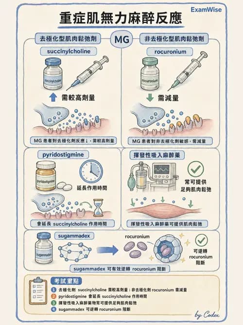 麻醉專護 - 肌肉鬆弛劑與拮抗劑 - AI 圖文解析預覽