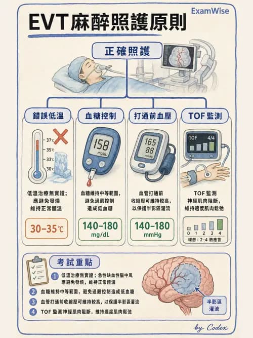 麻醉專護 - 神經外科與脊椎手術麻醉 - AI 圖文解析預覽