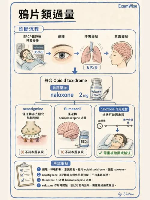 麻醉專護 - 鴉片類與非鴉片類止痛藥 - AI 圖文解析預覽